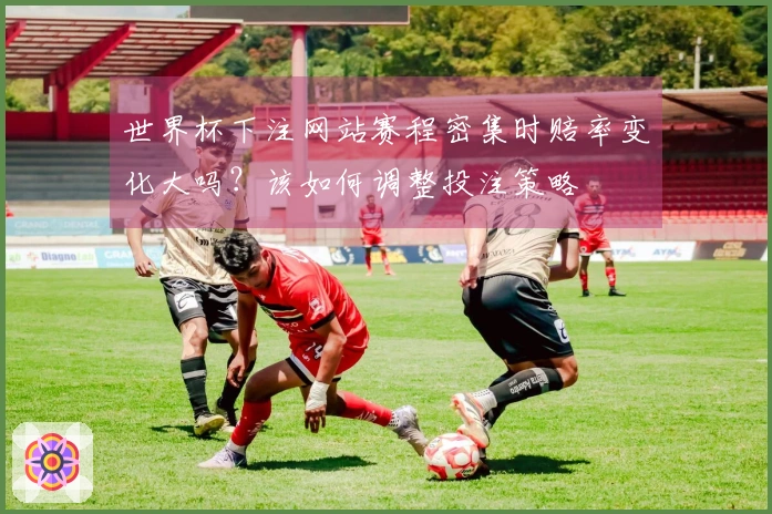 世界杯下注网站赛程密集时赔率变化大吗？该如何调整投注策略