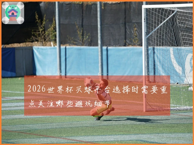 2026世界杯买球平台选择时需要重点关注哪些避坑细节