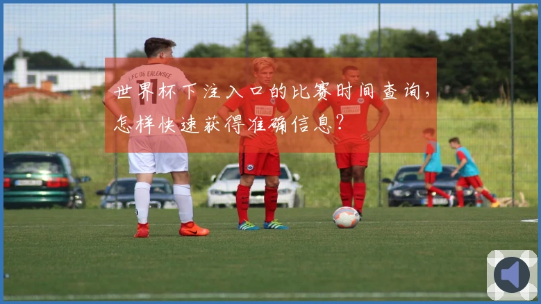 世界杯下注入口的比赛时间查询，怎样快速获得准确信息？