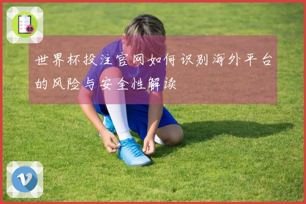 世界杯投注官网如何识别海外平台的风险与安全性解读