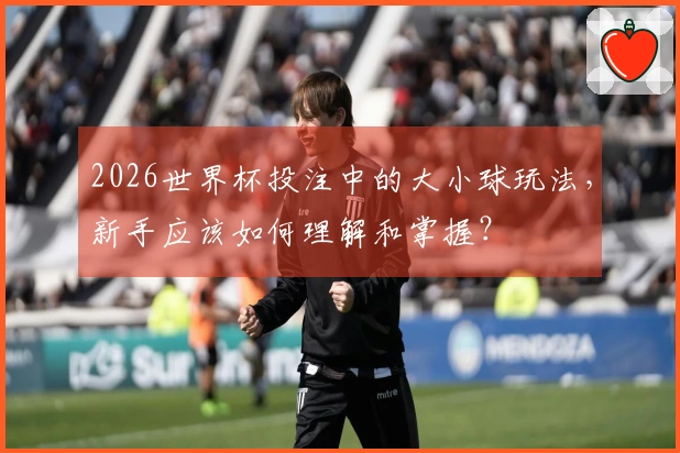 2026世界杯投注中的大小球玩法，新手应该如何理解和掌握？