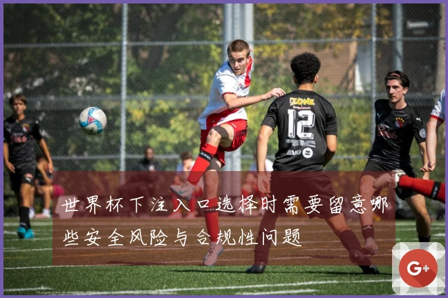 世界杯下注入口选择时需要留意哪些安全风险与合规性问题