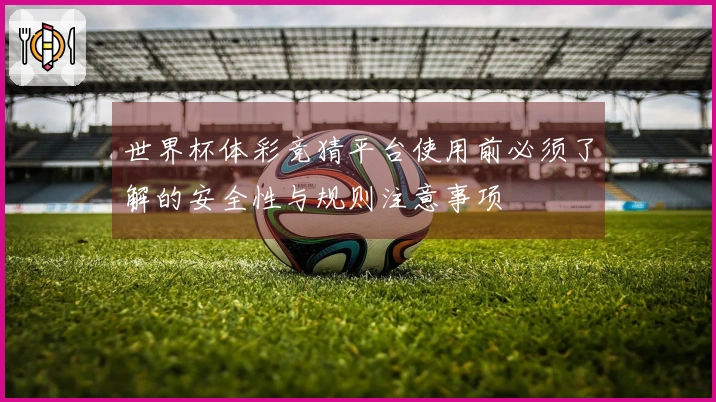 世界杯体彩竞猜平台使用前必须了解的安全性与规则注意事项