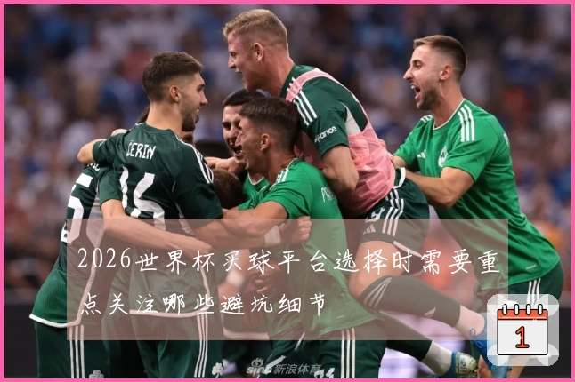 2026世界杯买球平台选择时需要重点关注哪些避坑细节