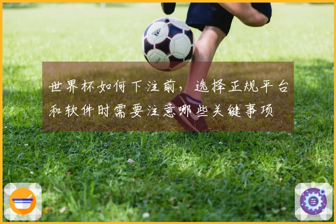 世界杯如何下注前，选择正规平台和软件时需要注意哪些关键事项