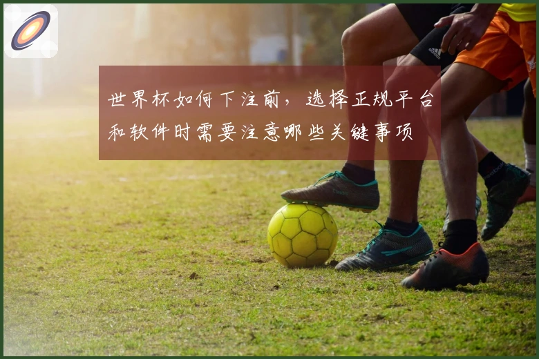 世界杯如何下注前，选择正规平台和软件时需要注意哪些关键事项