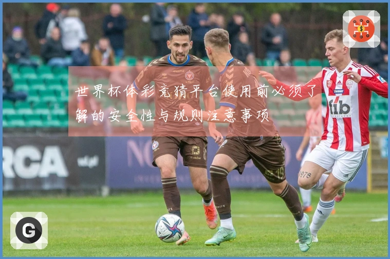 世界杯体彩竞猜平台使用前必须了解的安全性与规则注意事项
