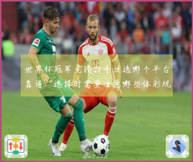 世界杯冠军竞猜新手该选哪个平台靠谱？选择时需要注意哪些体彩规则事项