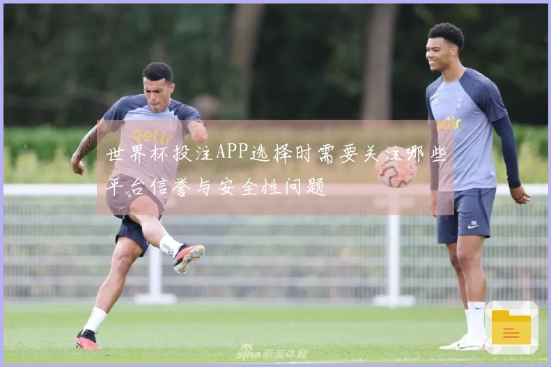 世界杯投注APP选择时需要关注哪些平台信誉与安全性问题
