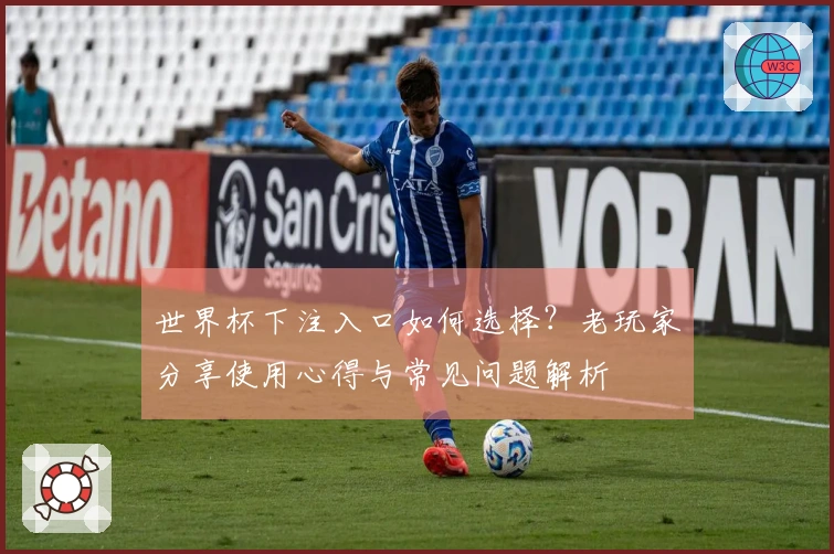 世界杯下注入口如何选择？老玩家分享使用心得与常见问题解析